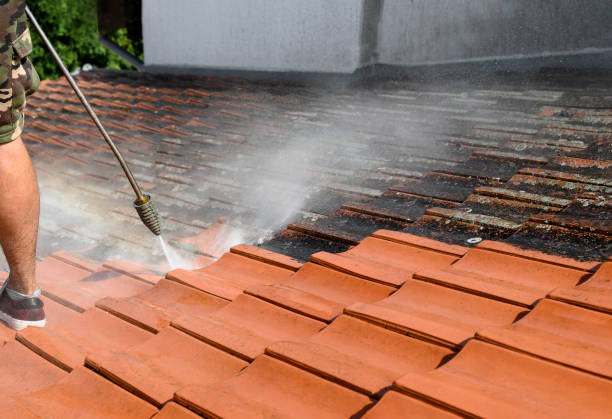 Best Affordable Power Washing  in Madison, NC