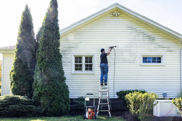 Best Pressure Washing Patio  in Madison, NC