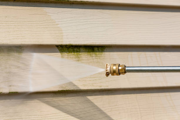 Best Roof Pressure Washing  in Madison, NC